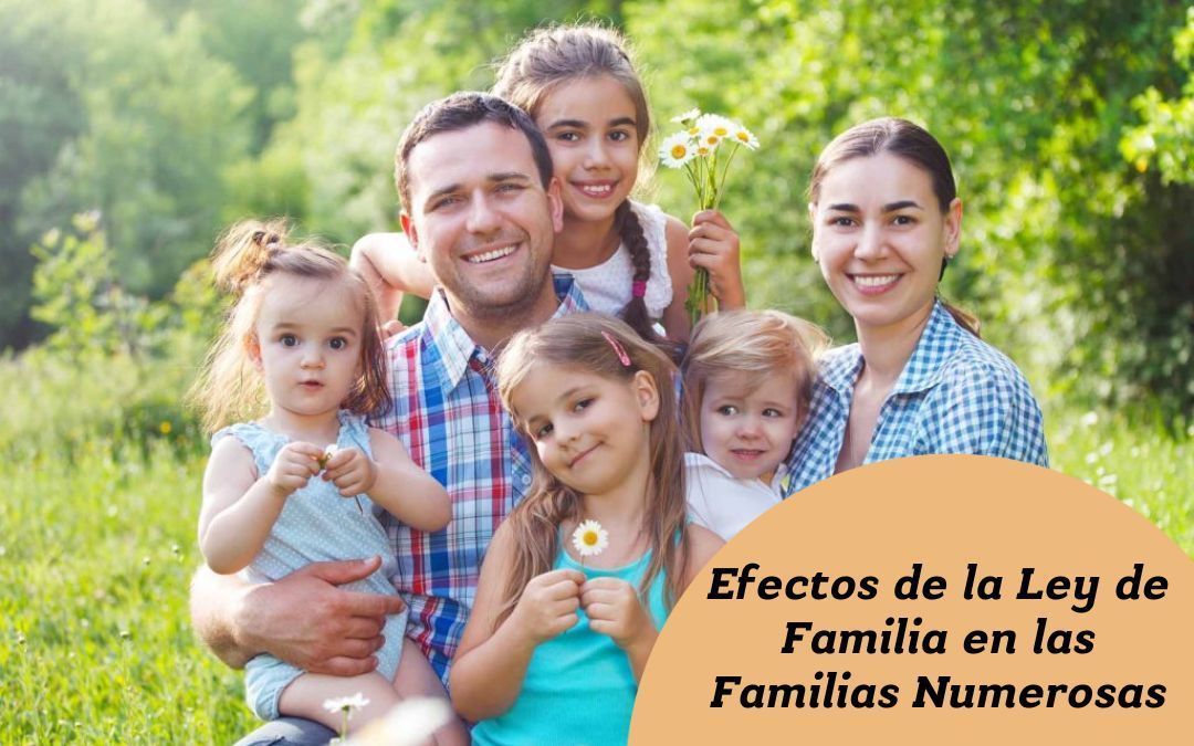 Descubre como la Ley de Familias afectará a las Familias Numerosas