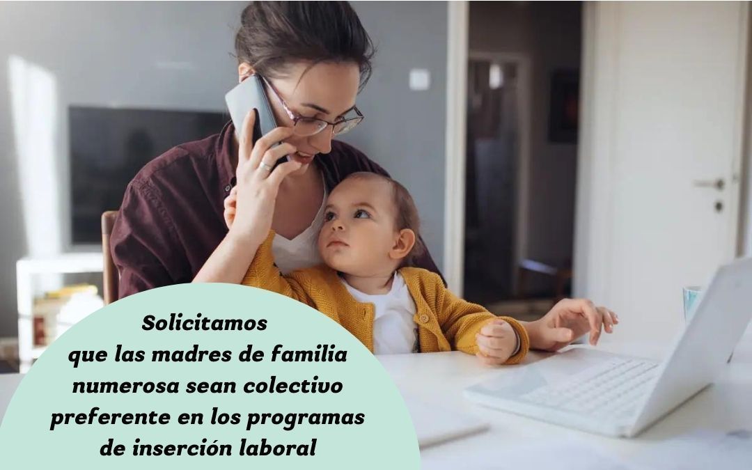 Solicitamos que las madres de familia numerosa sean colectivo preferente en los programas de inserción laboral