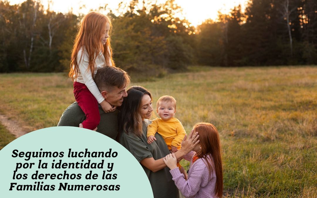 El Senado aprueba con el apoyo del Grupo Popular dos mociones en defensa de la identidad y derechos de las familias numerosas